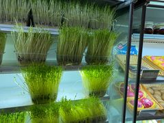 -番食园鲜食火锅(高新店)