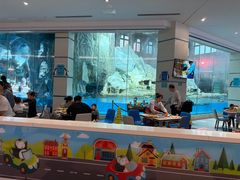 -帝企鹅自助餐厅•儿童岛•真企鹅(长隆企鹅酒店)