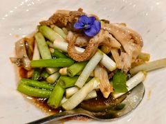 -海派美食·家宴海鲜青岛菜·石锅鲽鱼头(东方城店)