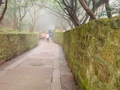 -普陀山慧济禅寺