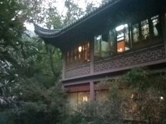 -十八棵（老龙井）御茶园(老龙井店)