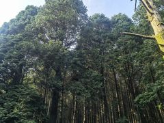 -含鄱口