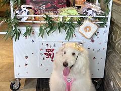 -蜀大侠火锅(春熙路店)