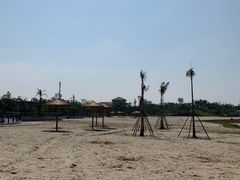 -九龙湖公园