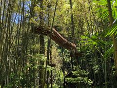 -贵阳猴耳天坑·极限酷玩公园