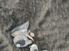 -浪琴湾度假村