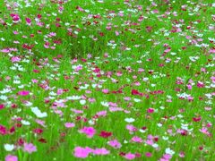 -北沙滩(地铁站)