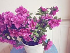 -朝郡酒家·粤菜(燕大星苑店)