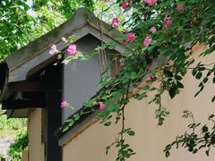 -颐和路民国时期公馆风貌区
