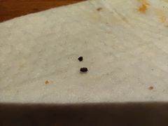 -那些年记忆烧烤