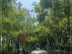 -南翠屏公园