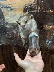 -Zoolung Zoolung动物主题公园(海信广场店)