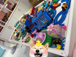 -星咔萌StarCamo儿童剪发(芳圆里IDMALL品牌形象店)