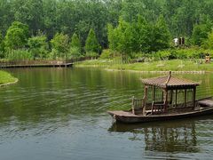 -合肥滨湖国家森林公园