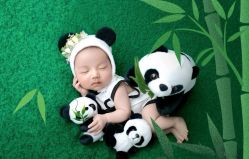-美年亲子儿童摄影(合肥市滨湖新区金泉小区店)