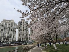 -西北湖绿化广场