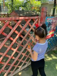 -萌宠亲子动物乐园(槐房万达店)