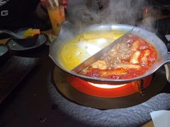 红颜花胶鸡锅-湊湊火锅·茶憩(石家庄万象城店)