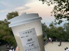 白露茉莉-一叶觅山(半边街店)