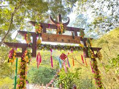 -西双版纳原始森林公园