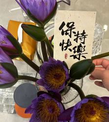 -倩极·精研痘敏肌管理