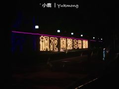 -枫花园汽车电影院(朝阳公园店)