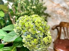 -花二家·生活馆(六运小区店)