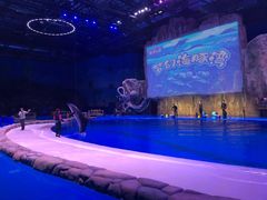 -华夏文旅海洋公园