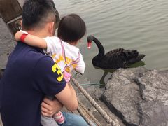 -上海怡沁园度假酒店