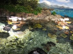 -福州罗源湾海洋世界旅游区