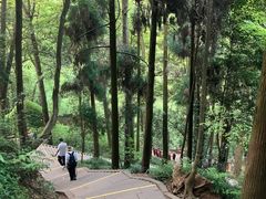 -青城山