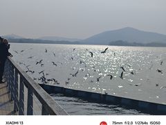 -蠡湖大桥公园