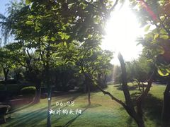 -宁波儿童公园(鄞州区)