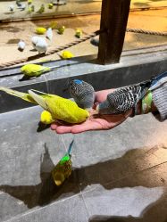 -酷嗒动物文化乐园(cutezoo西溪乐天城店)