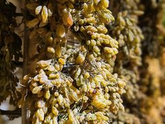 -新疆国际大巴扎