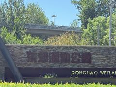 -东郊湿地公园