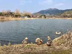 -石塘人家