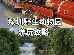-深圳野生动物园