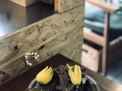 -灶咖KITCHEN