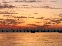 -宝安西湾红树林湿地公园