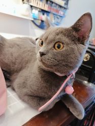 -Miss·A日式美甲美睫