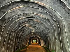 -栾川竹海野生动物园
