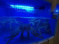 -大榭国际大酒店-中餐厅