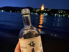-西湖游船