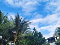 -三亚珠江南田温泉度假区