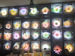 -金手勺东北菜馆(大屯北路店)