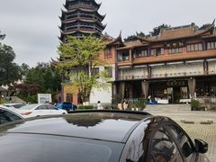 -铁山坪森林公园