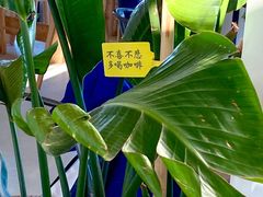 -ChanDu躔度咖啡(灯塔店)