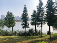 -滨湖塘西河公园