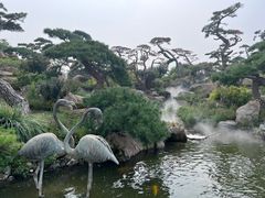 -罗红摄影艺术馆